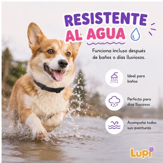 Collar  para Perros y Gatos  Anti-pulgas